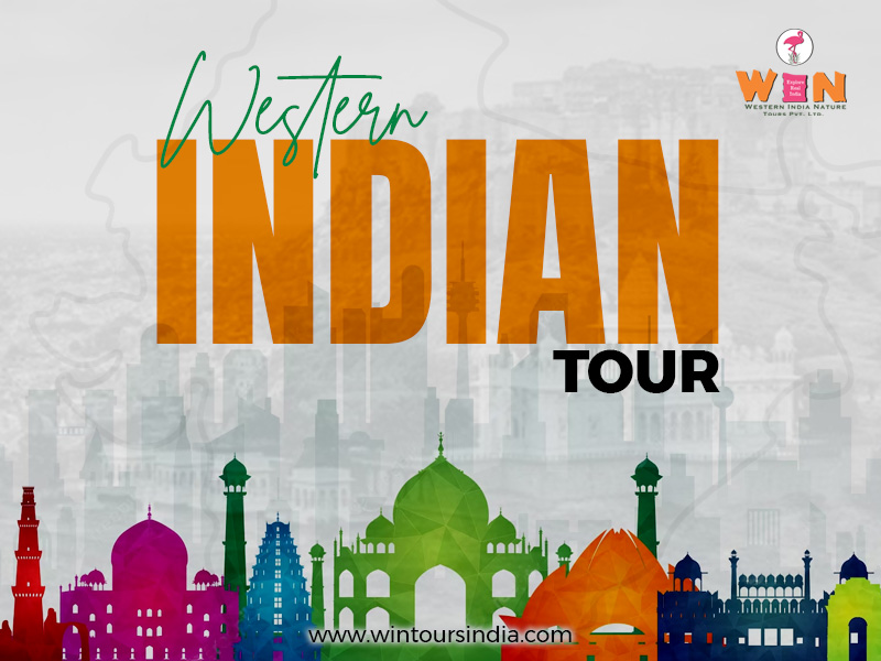 Tour 5